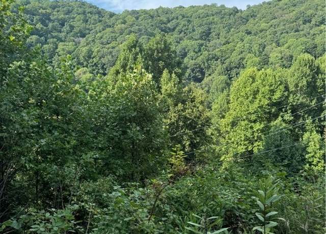 Property at 380 Wiedemanns Rd, Banner Elk, NC 28604