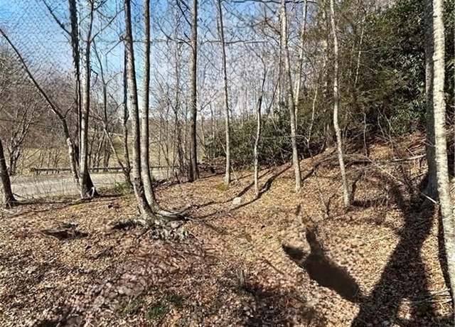 Property at TBD Hwy 88, Creston, NC 28615