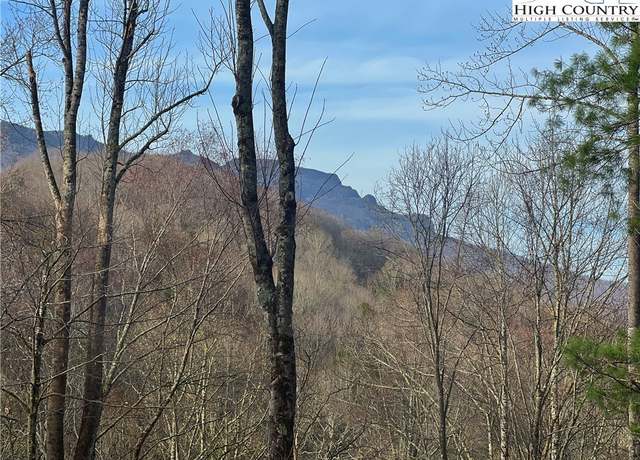 Property at TBD Basswood, Banner Elk, NC 28604