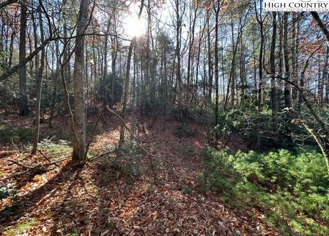 Property at Lot 27 Walden Ln, West Jefferson, NC 28694