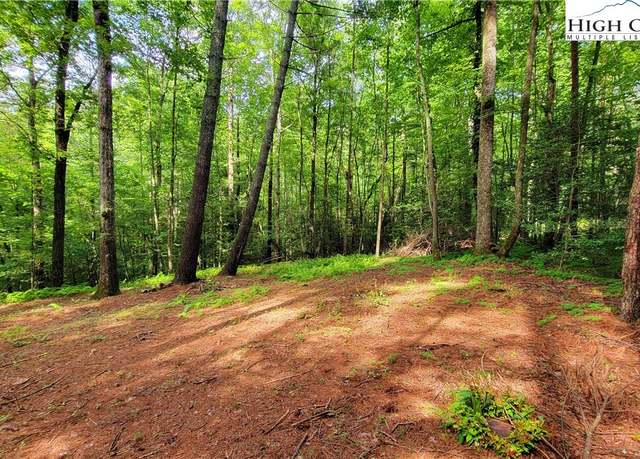 Property at TBD Bewer Mill Road/lil Sandy Creek Rd, Traphill, NC 28685