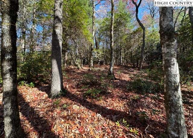 Property at Lot 32 Thoreau Ct, West Jefferson, NC 28694
