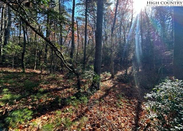 Property at Lot 31 & 32 Thoreau Ct, West Jefferson, NC 28694