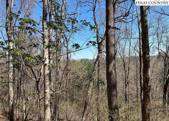 Property at L75-76 N Hidden Mountain Ln, Crumpler, NC 28617