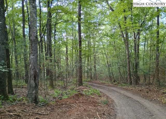 Property at TBD Elk Knob Rd, Laurel Springs, NC 28644