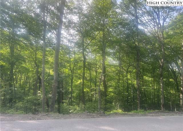 Property at TBD Grouse Moor Dr, Sugar Mountain, NC 28605