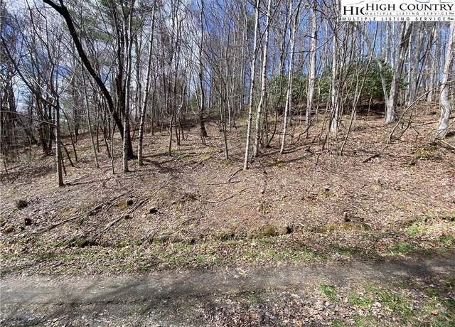 Property at tbd Teaberry Rd, Warrensville, NC 28693