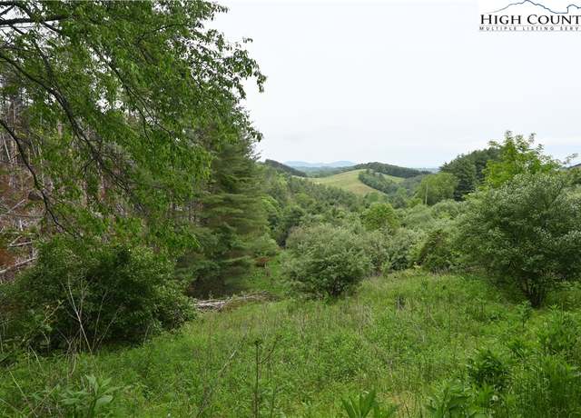 Property at 102 Tielcroft Rd, Crumpler, NC 28617