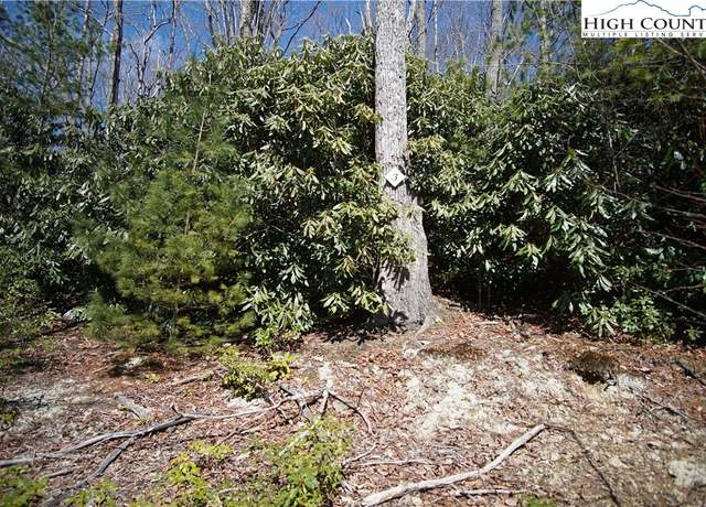 Property at Lot 3 Dream Forest Path, Banner Elk, NC 28604
