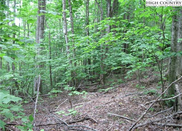 Property at 120 Sassafrass RD Rd, Beech Mountain, NC 28604