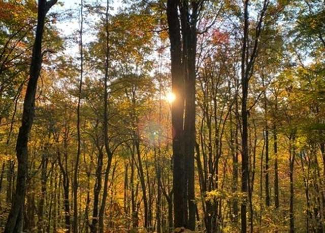 Property at TBD Burnt School House Rd, Creston, NC 28615