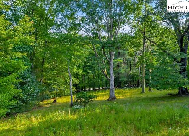 Property at TBD NC Hwy 88 E, Laurel Springs, NC 28644