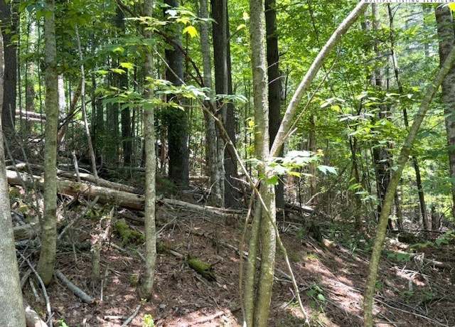 Property at TBD Apple Canyon Dr, West Jefferson, NC 28694