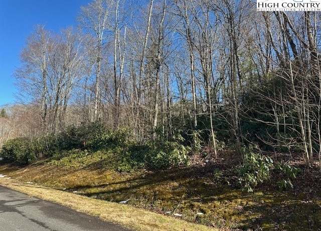 Property at TBD Lot 43 Linville River Ln, Linville, NC 28646