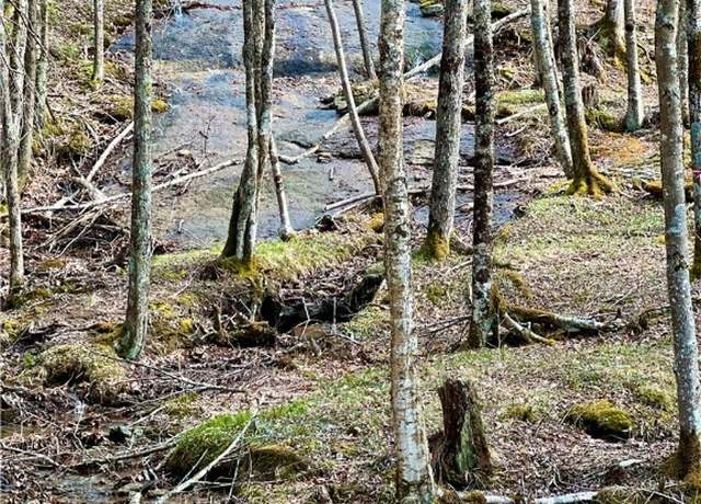 Property at ES-61 Rippling Waters Trl, Banner Elk, NC 28604