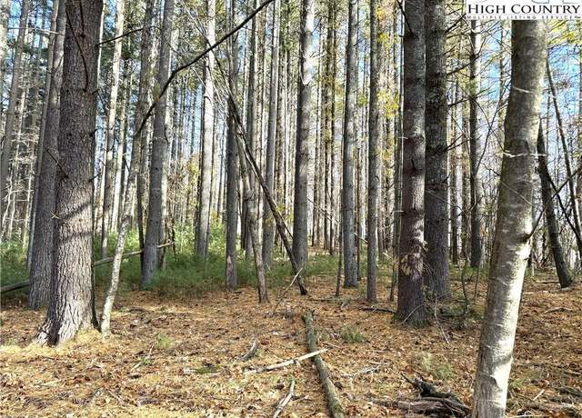 Property at TBD Jr Dairy Rd, Ennice, NC 28623