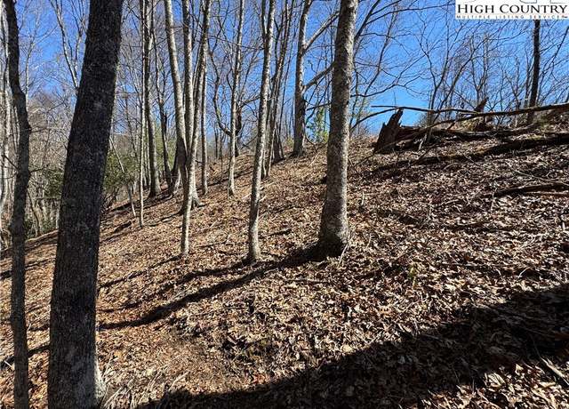 Property at TBD Isabelle Rose Way, Piney Creek, NC 28675