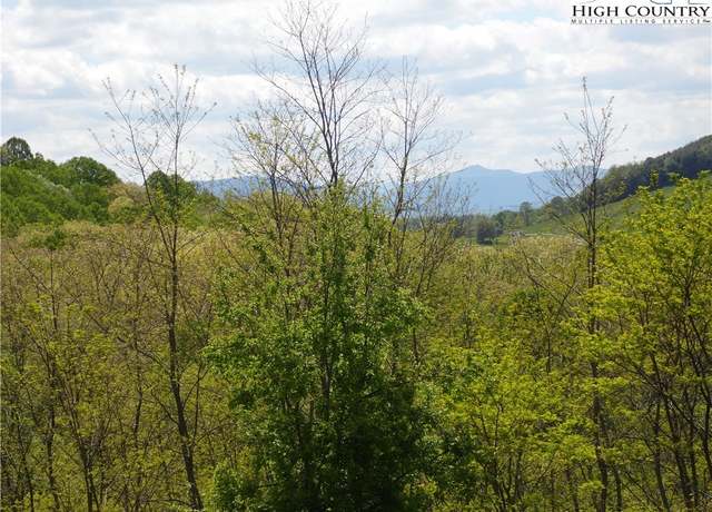 Property at TBD Ginkgo Dr, Sparta, NC 28675