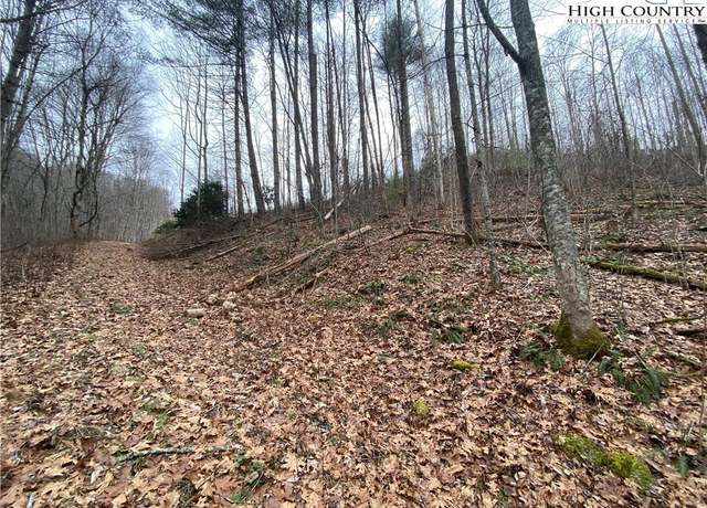 Property at TBD Rabbit Ridge Run, Vilas, NC 28692