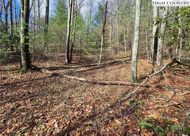 Property at Lot 25 Riverstone, Laurel Springs, NC 28644
