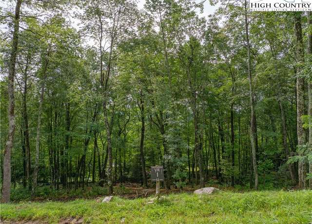 Property at VR1 Red Sky Pkwy, Elk Park, NC 28622