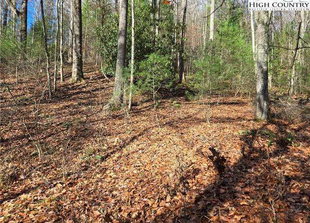 Property at Lot 24 Riverstone, Laurel Springs, NC 28644
