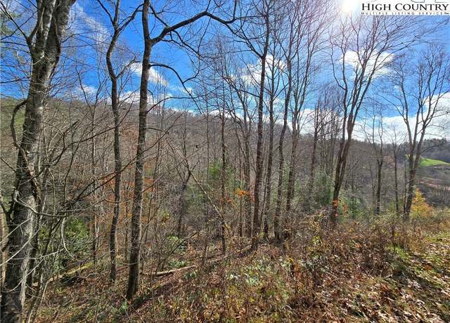Property at Lot 24 & 25 Riverstone, Laurel Springs, NC 28644