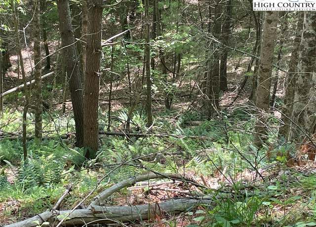 Property at Lots 55 & 57 Meadow Crest Dr, Jefferson, NC 28640