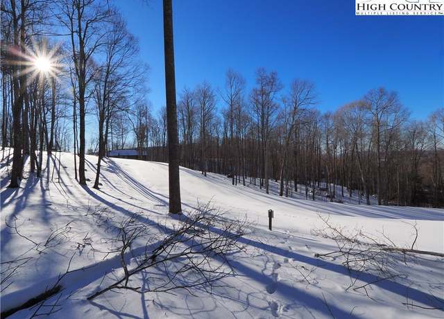 Property at 109 Blacksmith Ct, Elk Park, NC 28622