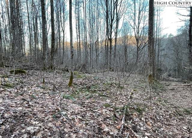 Property at 0 Dark Ridge Rd, Elk Park, NC 28622