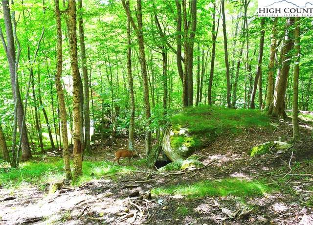 Property at 153 Hornbeam Rd, Beech Mountain, NC 28604