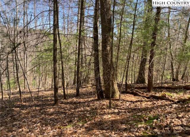 Property at TBD Forest Hill Dr, Sparta, NC 28675