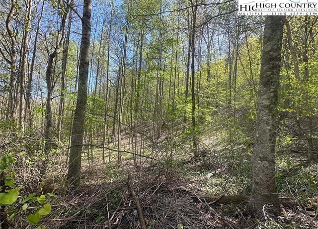 Property at TBD (Lot 27) Quail Hollow Dr, Jefferson, NC 28640