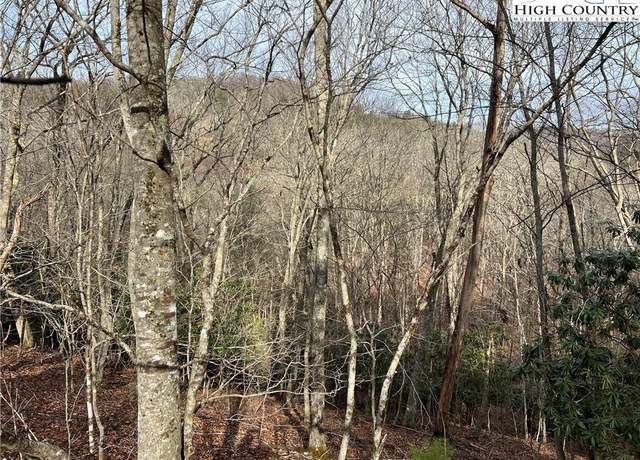 Property at 19 Speckled Dr, Laurel Springs, NC 28644