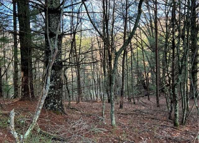 Property at 13 Speckled Dr, Laurel Springs, NC 28644