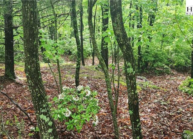 Property at tbd Flat Mountain Rd, Lenoir, NC 28605