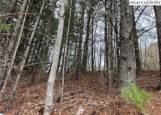 Property at 4 Speckled Dr, Laurel Springs, NC 28644