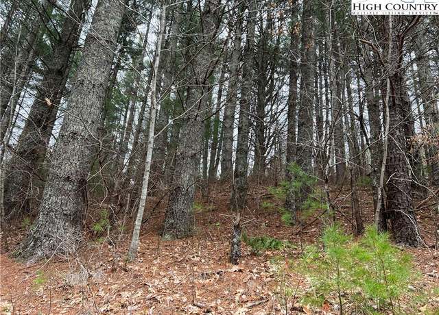 Property at 5 Speckled Dr, Laurel Springs, NC 28644