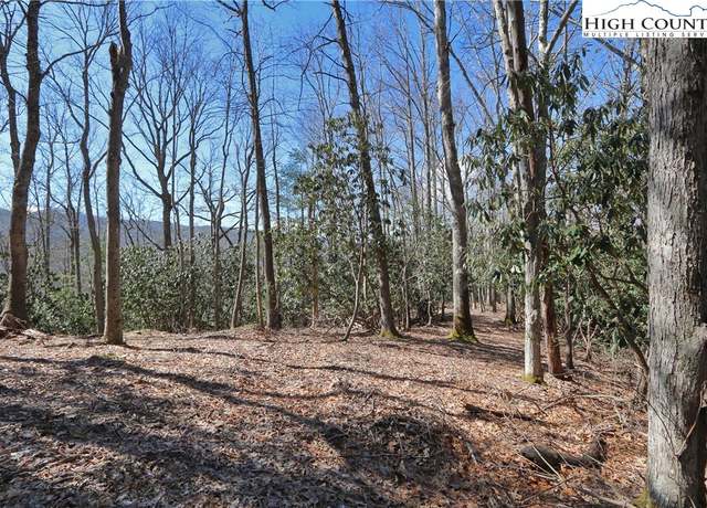 Property at Lots 47 & 48 Abaco Dr, Vilas, NC 28692