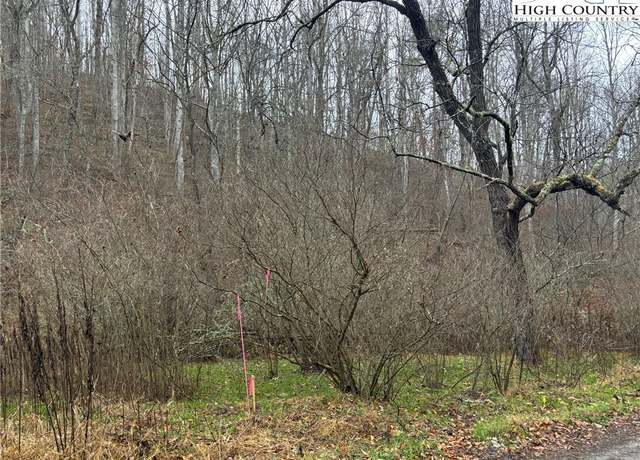 Property at TBD Foster Oliver Ln, Lansing, NC 28643
