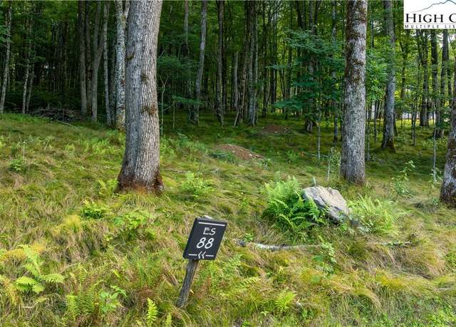 Property at ES88 Lands End Trl, Banner Elk, NC 28604