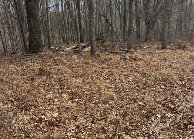 Property at TBD Pioneer Rdg, Piney Creek, NC 28663