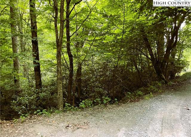 Property at 104 Willow Run, Beech Mountain, NC 28604