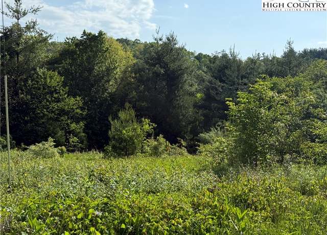 Property at TBD Holly Ridge Rd, West Jefferson, NC 28694
