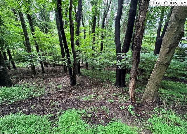 Property at TBD Blanwood Dr, Boone, NC 28607