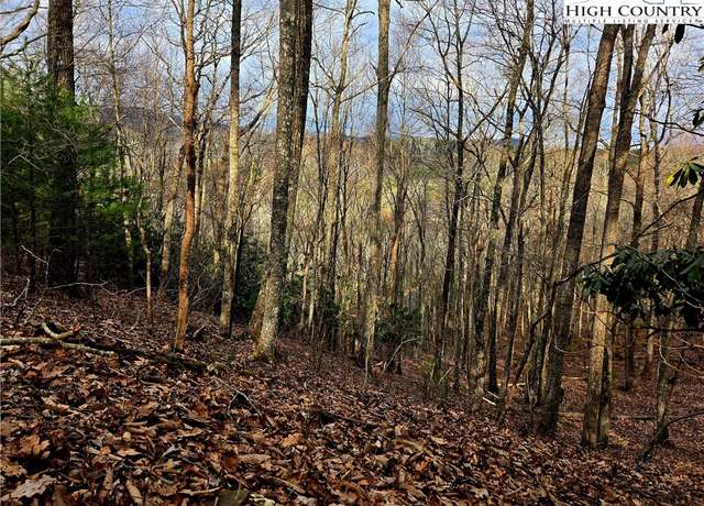 Property at Lot 15 Riverstone, Laurel Springs, NC 28644
