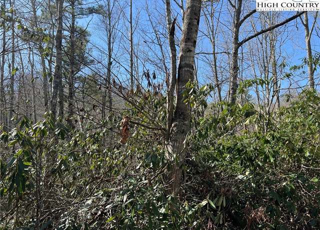 Property at 134 Goldfinch Rd, Newland, NC 28657