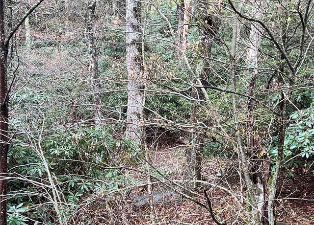 Property at Lot 31 Piedra Rd, Blowing Rock, NC 28605
