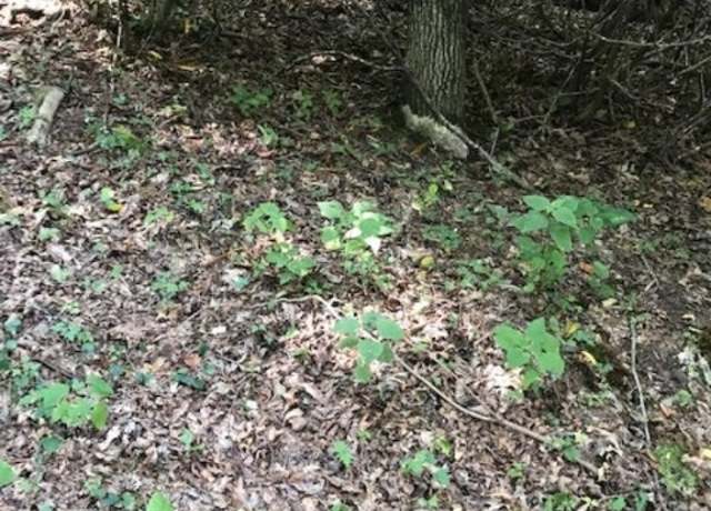 Property at Lots 30 High Meadows Ct, Fleetwood, NC 28626