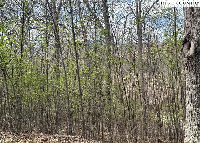 Property at TBD (Lot 24) E Landing Ridge Cir, Jefferson, NC 28640